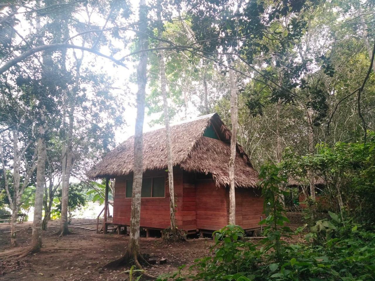 Hostel Majacho'S House Puerto Maldonado Zewnętrze zdjęcie